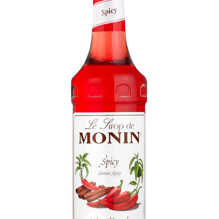 SIROP MONIN PIMENT 70 CL